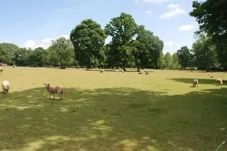 Aux Portes Du Mont Saint Michel Tatil Evi Precey